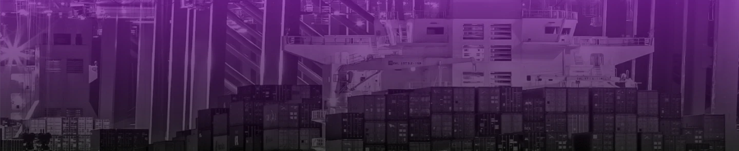 End-to-End Logistics Solutions for High-Growth Brands