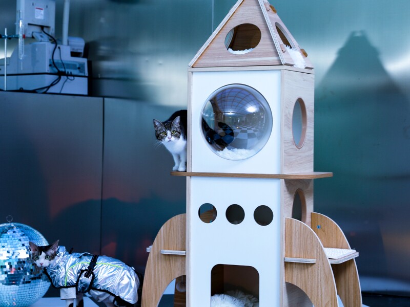 Grey rocket ship shaped cat tree with a cat peeking out the left side.