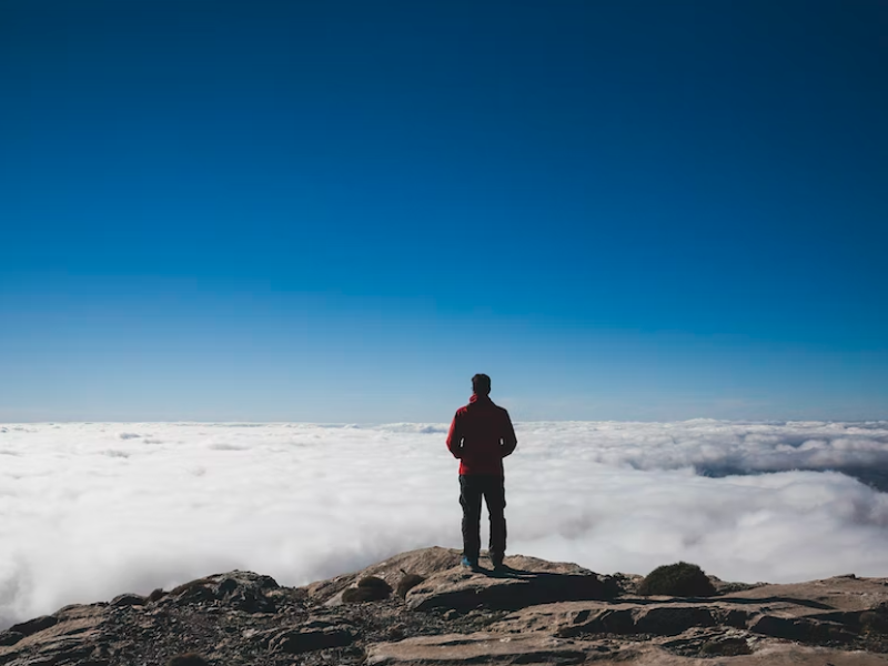 StockSnap_02PW14YN0P