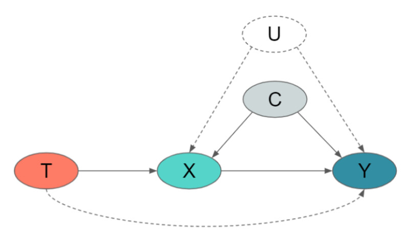 A graph shows circles T, X, C, U, and Y. T is points to X with a solid line and Y with a dotted line. X points to Y with a solid line. C points to both X and Y with a solid line, and U points to both X and Y with dotted lines.