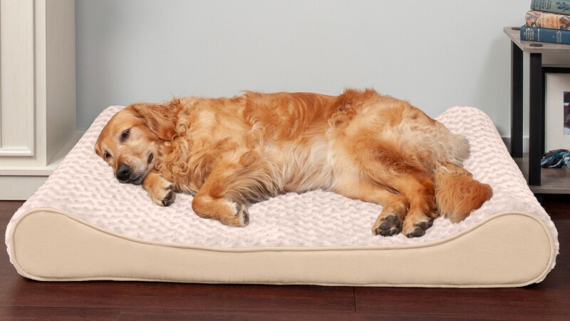 dog bed Cropped.jpg