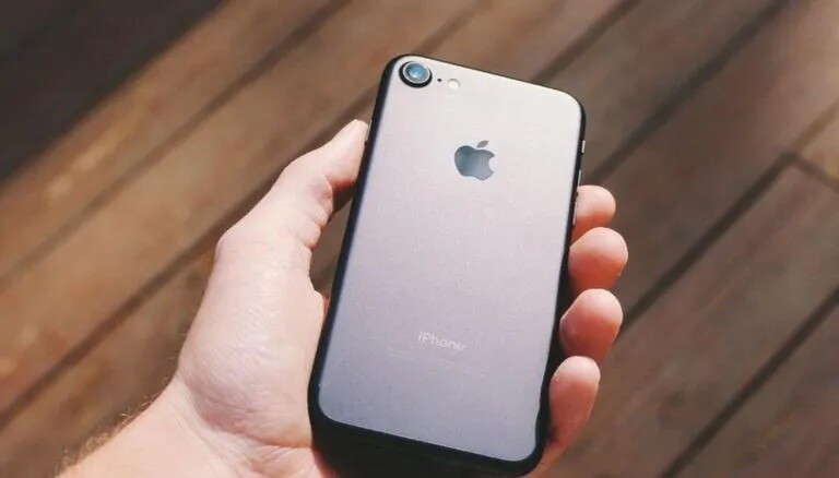 StockSnap_1QF9TA2IIW