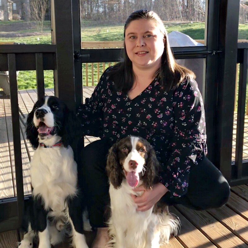 Woman posing with two English Springer Spaniel dogs.