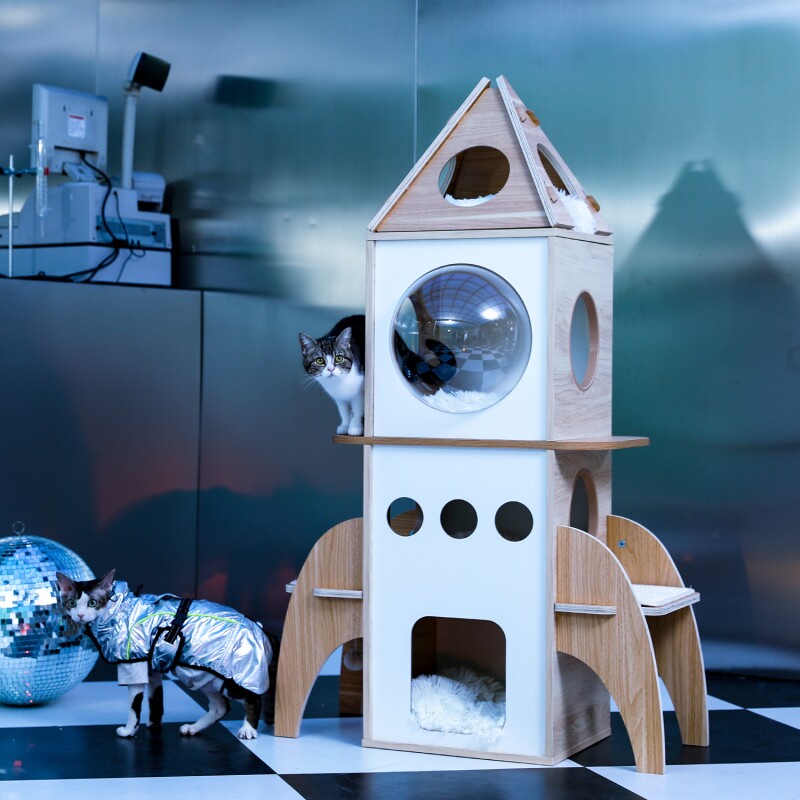 Grey rocket ship shaped cat tree with a cat peeking out the left side.